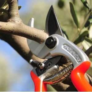 Ergonomic Secateurs from Castellari