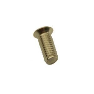 Pole Saw Parts: Spring fixing bolt