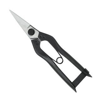 Okatsune Pine Needle Snips 207