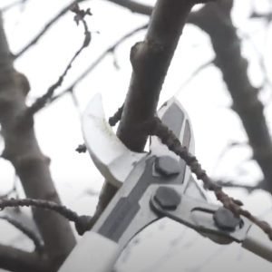 Castellari Tucano C Lopper In Action