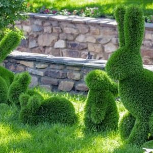 Topiary Bunnies courtesy of Yates