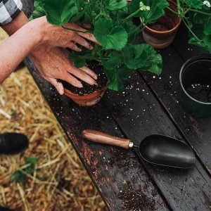 Barebones Garden Scoop4