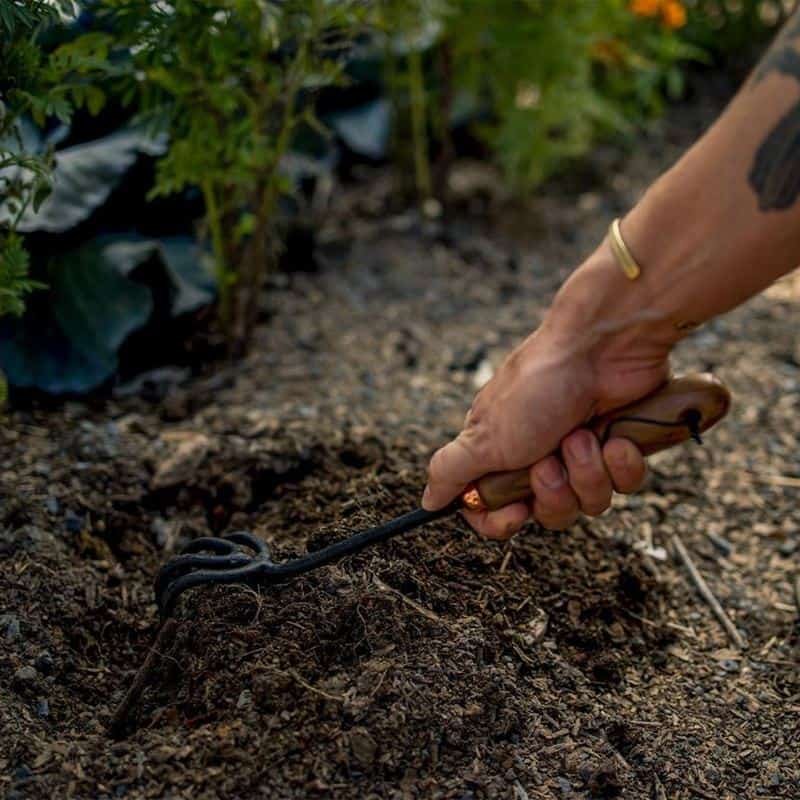 Barebones - New Style Cultivator2