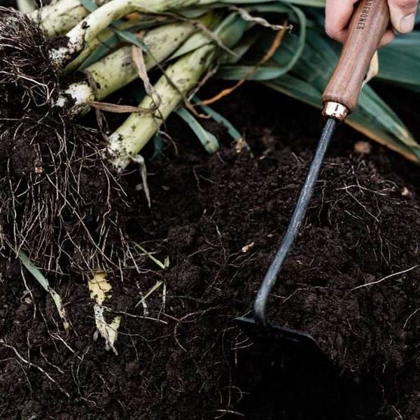 Barebones Square Hand Hoe3