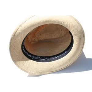 Panama Hat Hass SandV3