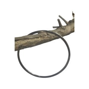 spring follows winter - circle - front