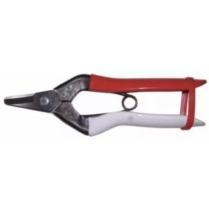 Castellari Fruit Shears