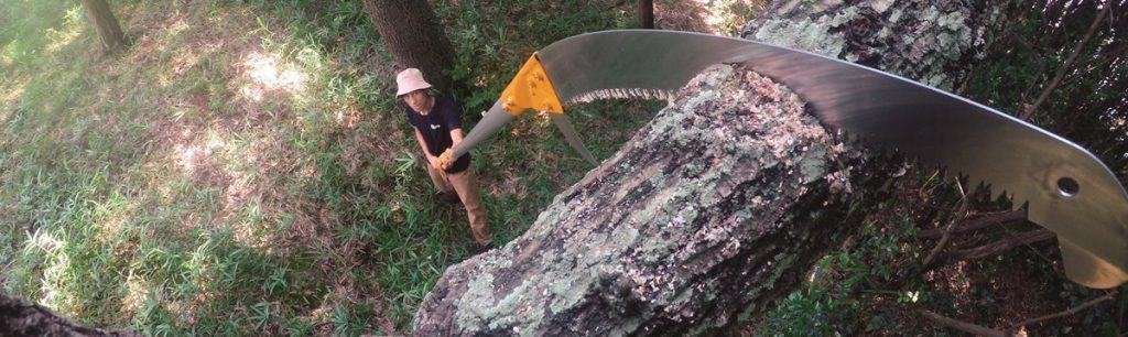 Silky Hayate 7.7mtr Telescopic Pole From The Gound