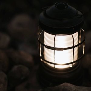 Barebones Forest Lantern_Antique Bronze