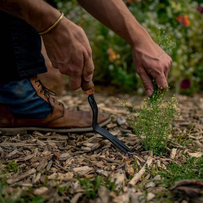 Barebones - Weeding Fork