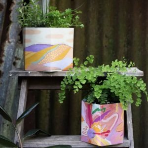 Pop Up Pot_Set of 3_Sow n Sow