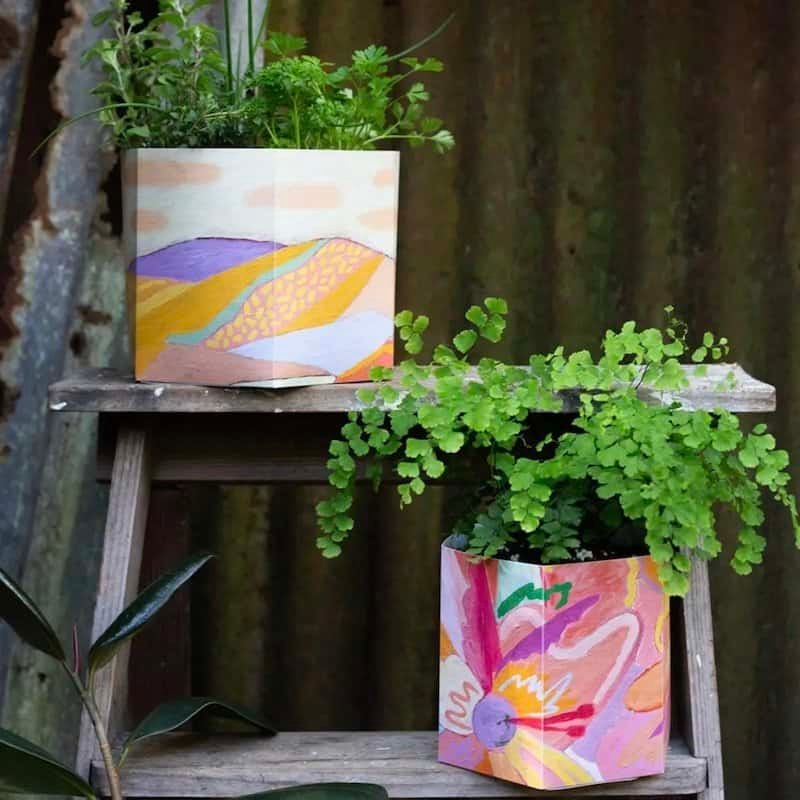 Pop Up Pot_Set of 3_Sow n Sow