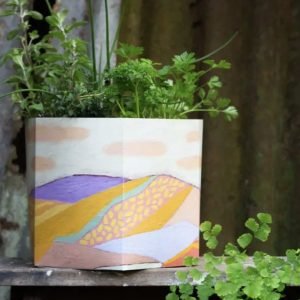 Sow n Sow Large Pop Up Pot