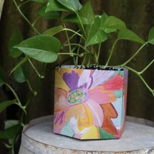 Sow 'n Sow Medium Pop Up Pot