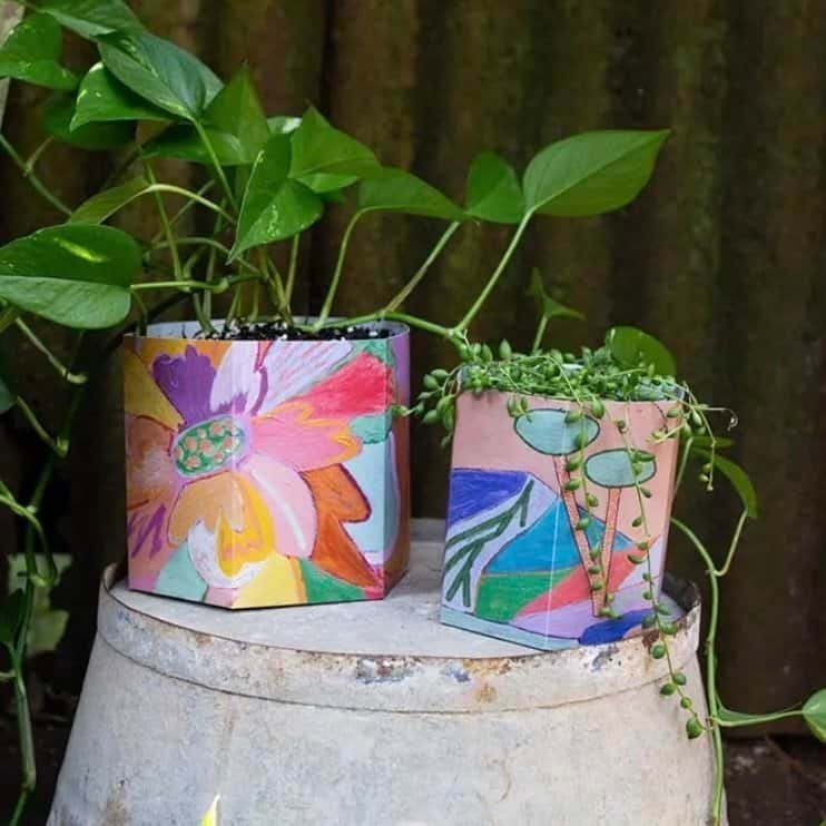 Sow 'n Sow Pop Up Pots - Set of 3 - Image 5