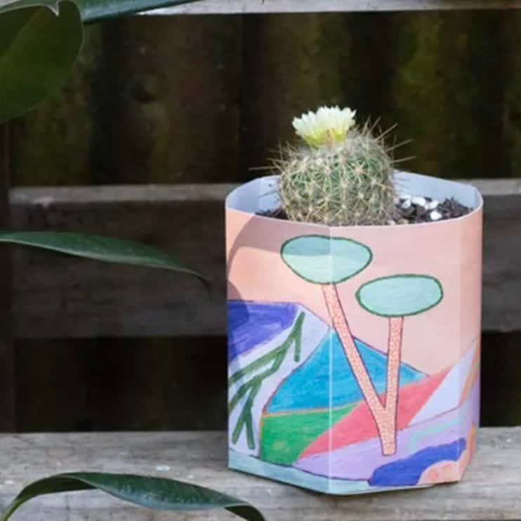 Sow 'n Sow Small Pop Up Pot