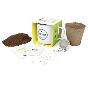 Urban Greens_Grow your own Lemon Balm Tea