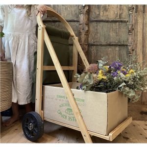 The Wanderer Shopping Trolley