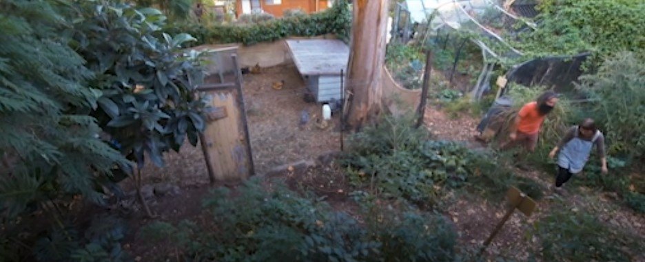 Costa and Manu in the Garden