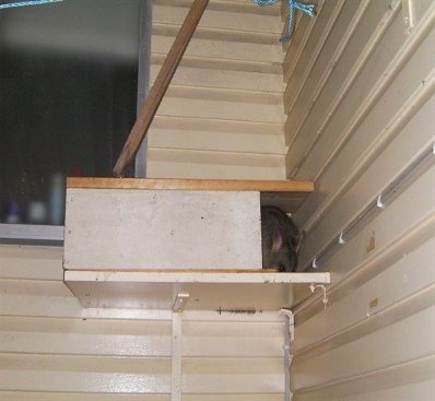 Possum Box