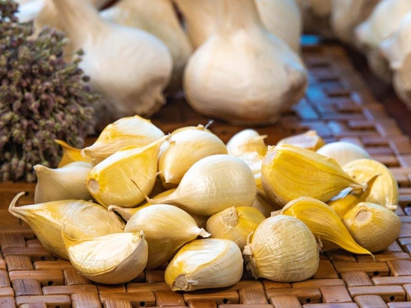 Russian-Garlic-Cloves-Nagle-Falls-Farms