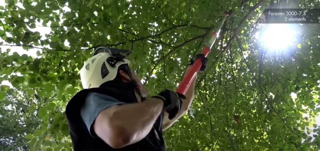 From the Ground with Silky Forester Telescopic Pole Saw