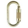 DMM 10mm Steel Oval Locksafe