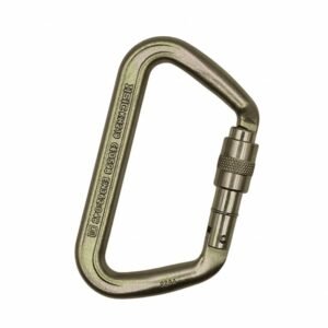 ISC Iron Wizard Carabiner - Large D Screwgate
